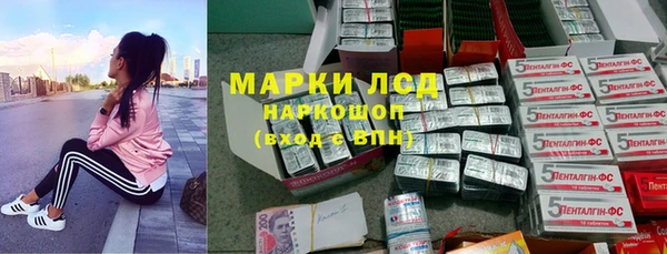 spice Куртамыш