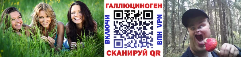 Псилоцибиновые грибы Magic Shrooms  наркотики  Димитровград 