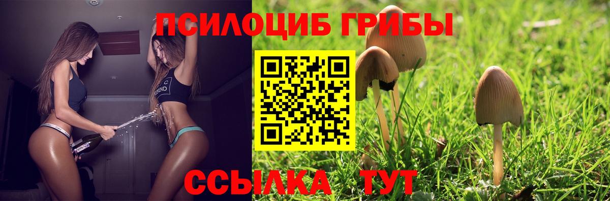 Псилоцибиновые грибы Magic Shrooms  Димитровград 