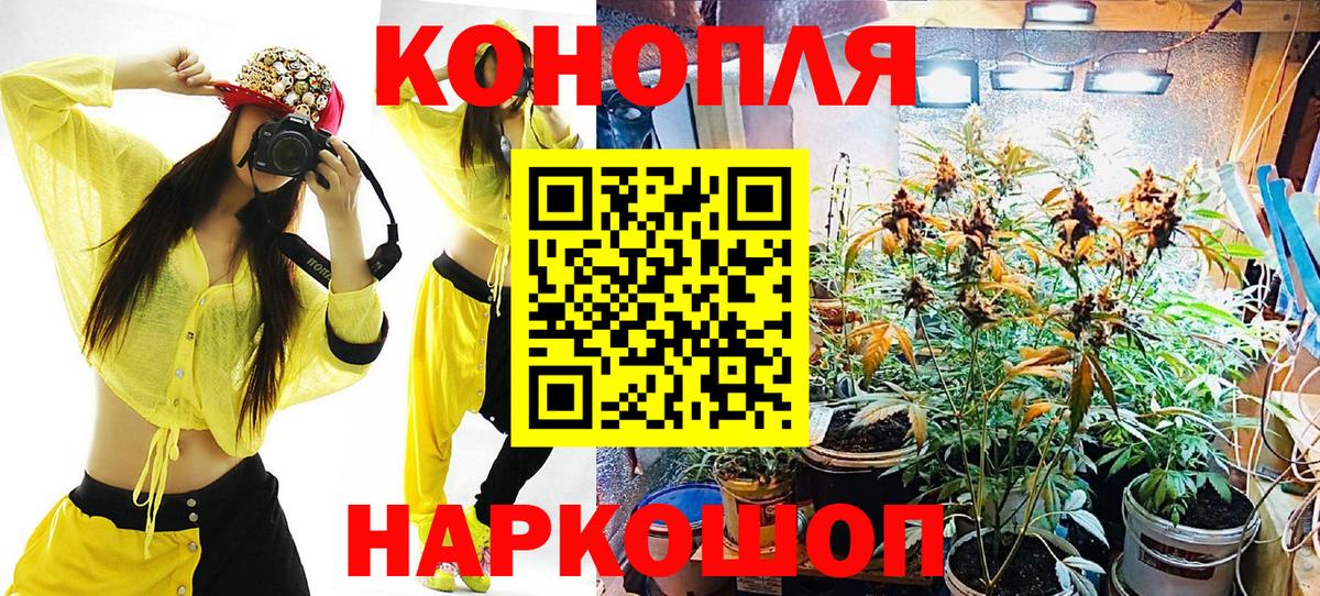 Бошки марихуана марихуана  МАРИХУАНА SATIVA & INDICA  Димитровград 